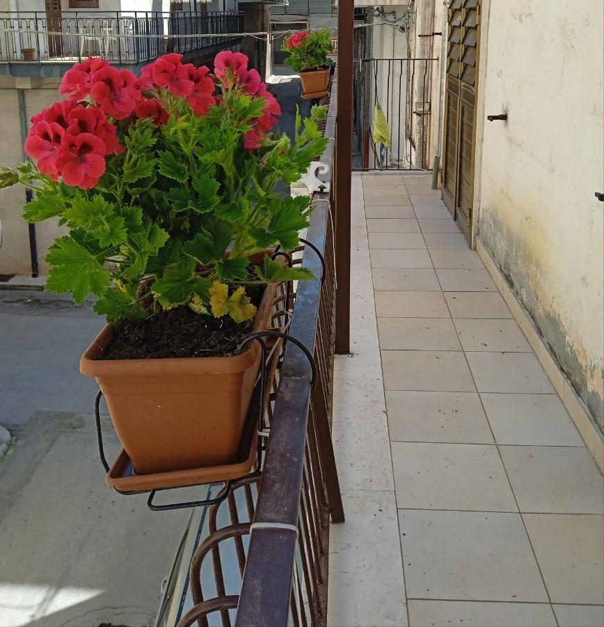 B&B La Casa Dell'Ospite Gravina in Puglia Bagian luar foto